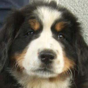 Meet your Posher, Ej